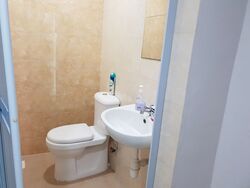 Telok Ayer Conservation Area (D1), Shop House #456528001